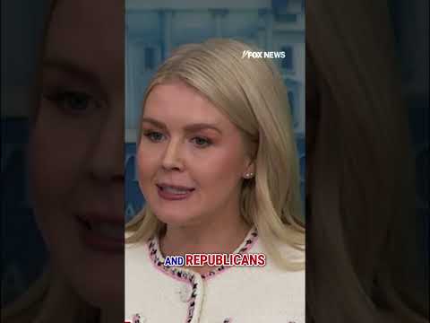 Karoline Leavitt calls out Democrats’ healthcare 'hypocrisy' #democrats #shorts #politics