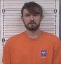 Lenoir man charged with felony animal cruelty after horse found tied to tree dies