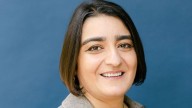 Q&A: WSU professor Shooshan Danagoulian on link between allergies, mental health