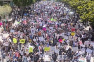 Cómo las protestas masivas debilitan a autócratas desquiciados como Trump