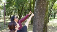 Naucalpan impulsa estudio científico para preservar la salud del Parque Naucalli﻿