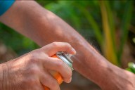 No se registraron nuevos casos de dengue y continúa el descenso de enfermedades respiratorias