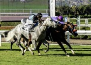 Man O Rose noses out Lovesick Blues at Santa Anita