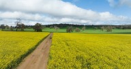 Biofuel surge: A win for Aust farmers, national security, economy
