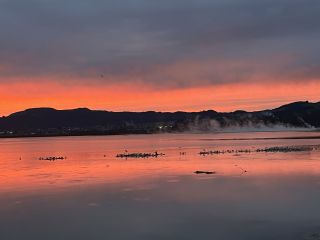 Hope and Resilience in the Face of Eco