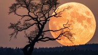 Adelaide to glow with 3 rare Supermoons starting tonight
