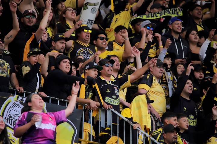 Coquimbo Unido buscará dar su primera vuelta olímpica en Primera División a estadio lleno