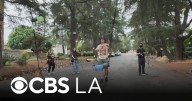 Volunteers prepare Christmas Tree Lane in Altadena after the Eaton Fire