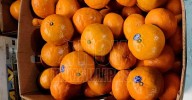 Mandarina por las nubes; vale hasta 110 pesos el kilo en el sur de Tamaulipas