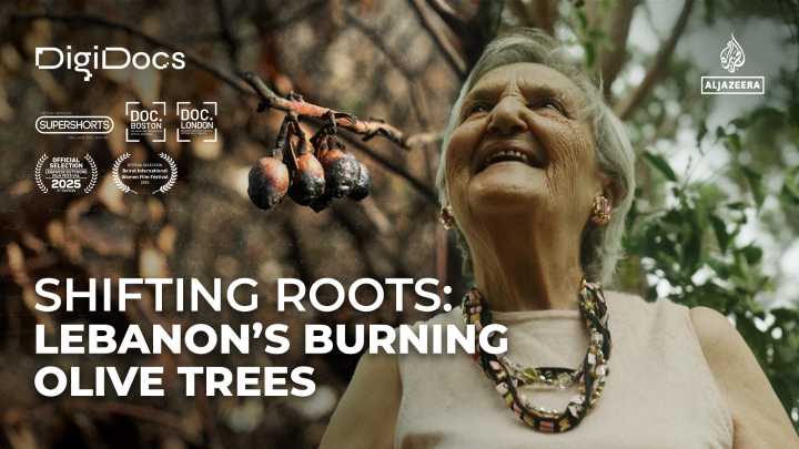Shifting Roots: A Lebanese Woman’s Fight to Save Her Olive Trees