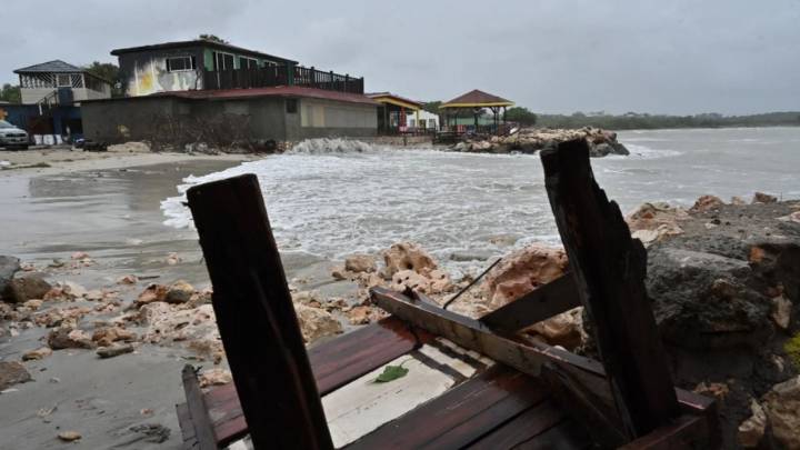 Hallan a 3 perros ‘azules’ cerca de la planta nuclear de Chernóbil