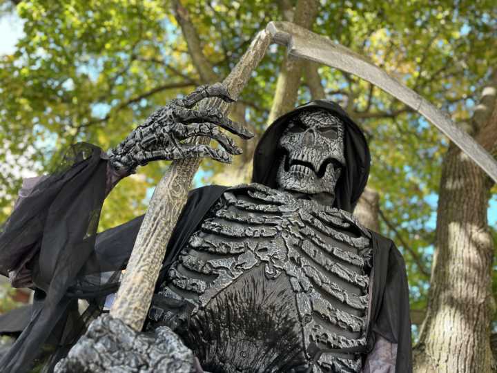 Quebec adults are less fond of Halloween than their children: survey