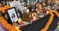 'Positive way to connect people:' Pet ofrenda at Paris Vet Clinic goes viral on TikTok