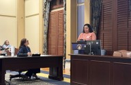 Advocates urge lawmakers to increase funding for mental health services