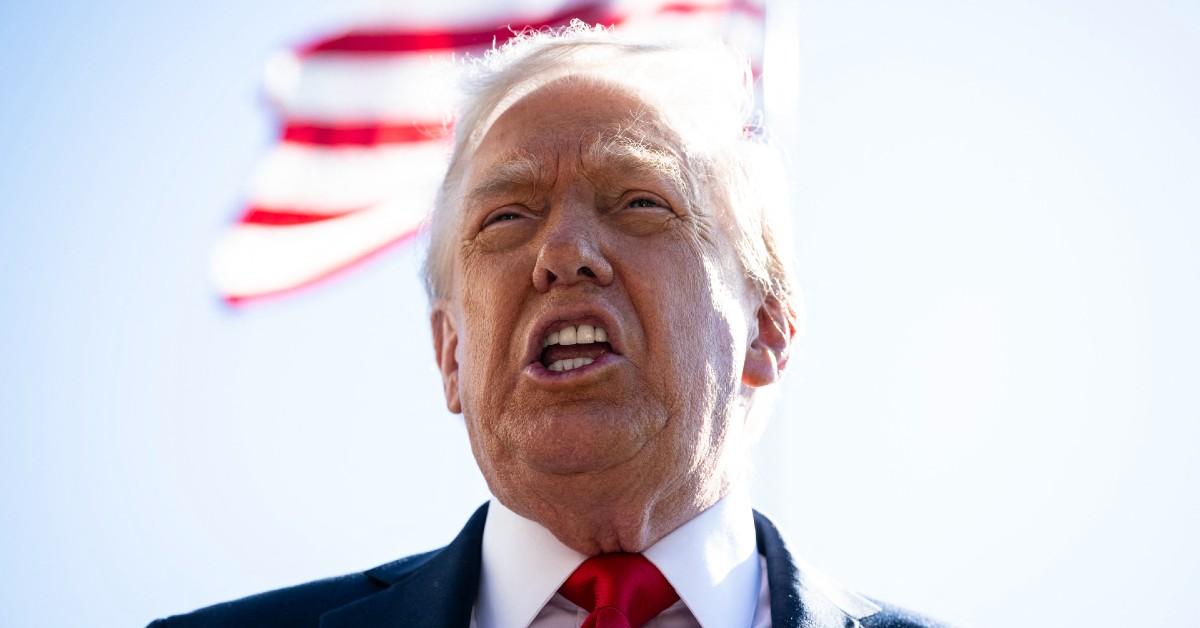 EXCLUSIVE: How 'Dictator-Style' Donald Trump 'Could Run for Third Term'