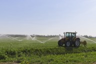 Pese a cierre de gobierno en EU, reabrirán más de 2 mil oficinas para otorgar créditos a agricultores