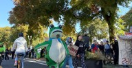 March of the frogs