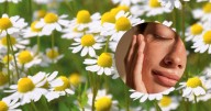 Manzanilla en la piel: cómo usar esta planta natural para aliviar y rejuvenecer el rostro