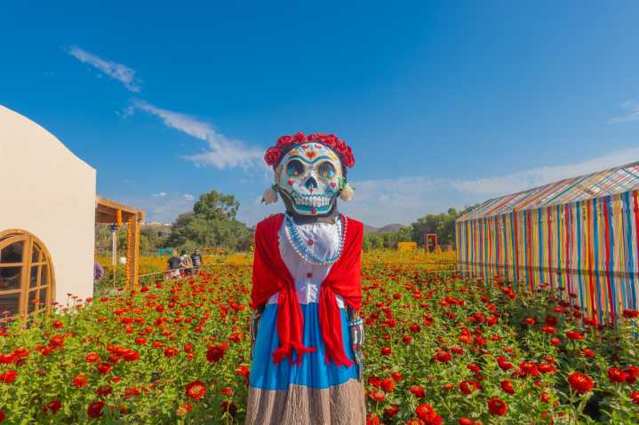 Mictlán: un viaje entre flores, mitología y tradición en Tijuana