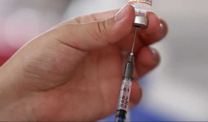 México reanuda aplicación de vacuna contra la tuberculosis; comenzará distribución nacional esta semana
