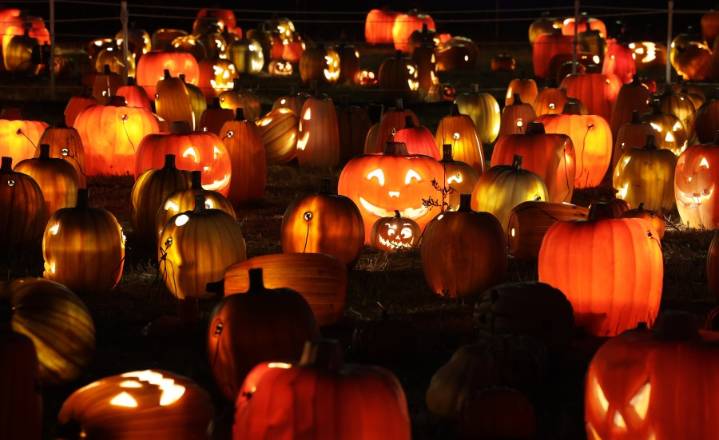Spooky season: Local events in celebration of Halloween