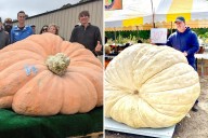 Here Are the 10 Biggest Pumpkins in Maine