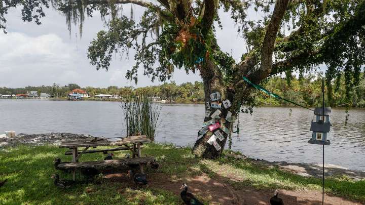 Polk County utility challenges Tampa Bay Water’s pumping rights to Alafia River