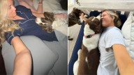 Tennessee Woman Noticed Her Dog Started Acting Strange Only To Realize What She Was Trying To Say