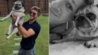 Robert Irwin shares heartbreaking update about his dog Stella while overseas for Dancing With The Stars