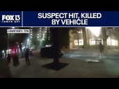 Florida man killed by car after running from officers