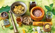 AIIA fostering tie-ups to enhance insurance integration, research in Ayush sector