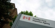 ‘Presence of insects’ prompts recall of Canadian soup mix