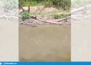 Pescadores apuntan contra la contaminación que genera Seabord: “Están matando los peces”