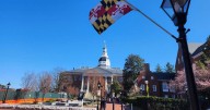 Turtle statue stolen from children's museum in Annapolis