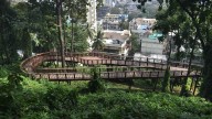 Mumbai News: Malabar Hill Nature Trail Emerges As Monsoon Hotspot; Draws Nearly 3 Lakh Visitors, Earns ₹72 Lakh For BMC