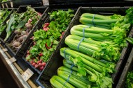 Feds direct states to stop SNAP food assistance, says DPHHS website