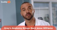'Grey’s Anatomy' Brings Back Jesse Williams as Dr. Jackson Avery