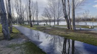 Clima en Neuquén: Alerta por viento intenso y temperaturas de hasta 31 grados
