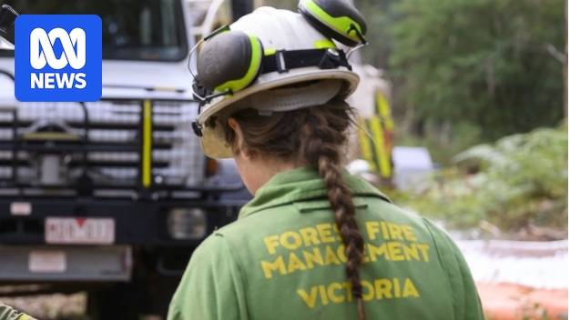 Women paid thousands less per year than men in Victoria's forest firefighting ranks