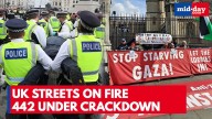 London Erupts: 442 Arrested After Synagogue Attack Sparks Pro