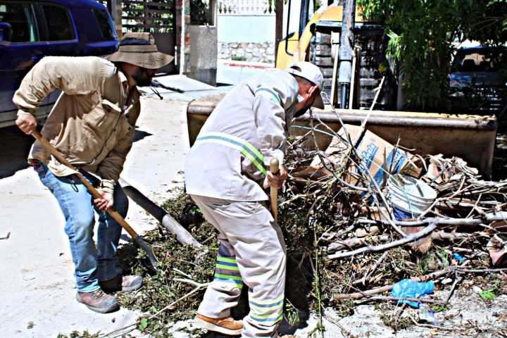 Limpieza y retiro de cacharros beneficiaron a 3 colonias de San José del Cabo: Servicios Públicos
