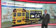 🚍Bus Stop Forecast: Breezy and below average on Thursday