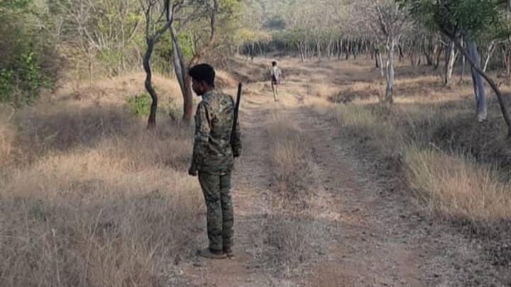 Karnataka sanctuary sees sixth tiger death this year. High