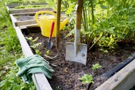 7 Things You Should Do in October to Help Your Plants Survive the Winter Ahead
