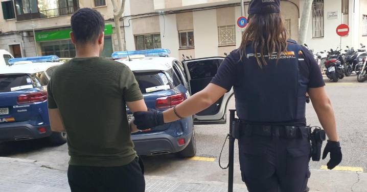 Detienen a una pareja por robar en una casa de Son Gual