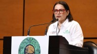 Reduce CFE, 5.37 millones de toneladas de CO2: Emilia Calleja