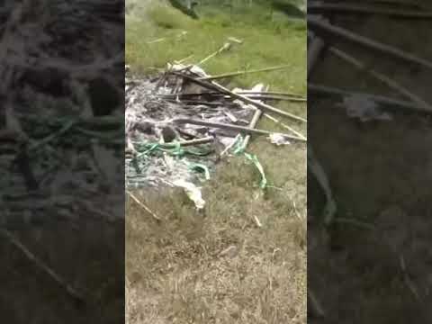 Horror in Myanmar: Paraglider Drops Bombs on Festival Crowd, Killing at Least 40 #shorts