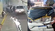 Video: un hombre atropelló a una familia varias veces causando una fractura de cráneo a un bebé de 18 meses