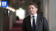 Andrew Hastie’s resignation over immigration couldn’t be worse timing for Sussan Ley