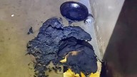 Principio de incendio en el Penal de Chimbas: un interno afectado por el humo